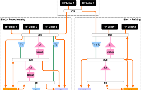 steam-networks assessment