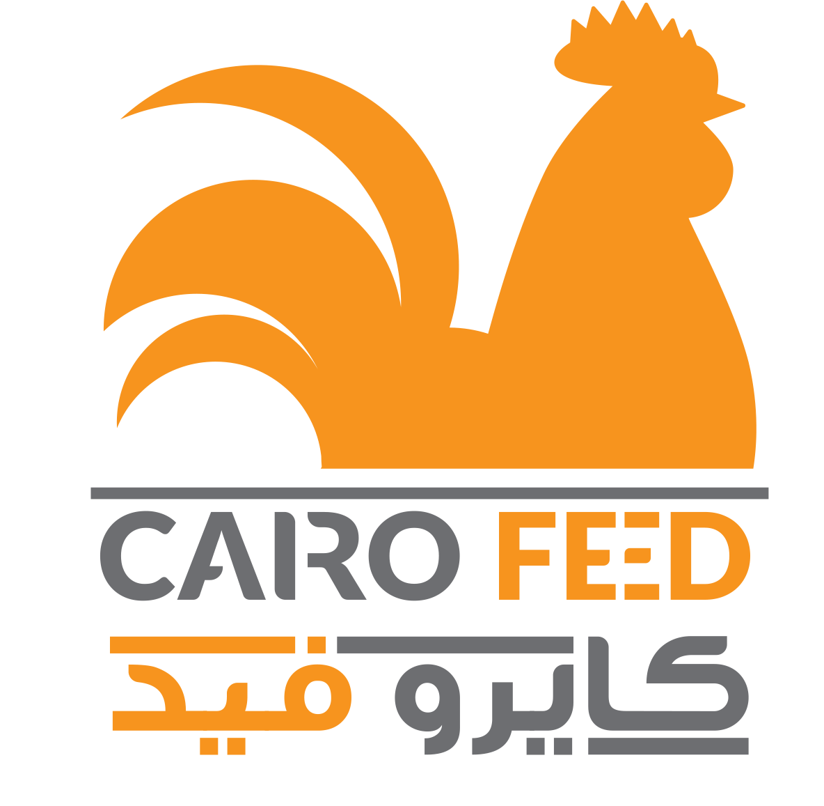 cairo feed co.